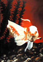 Pasha's Painting - Goldfish